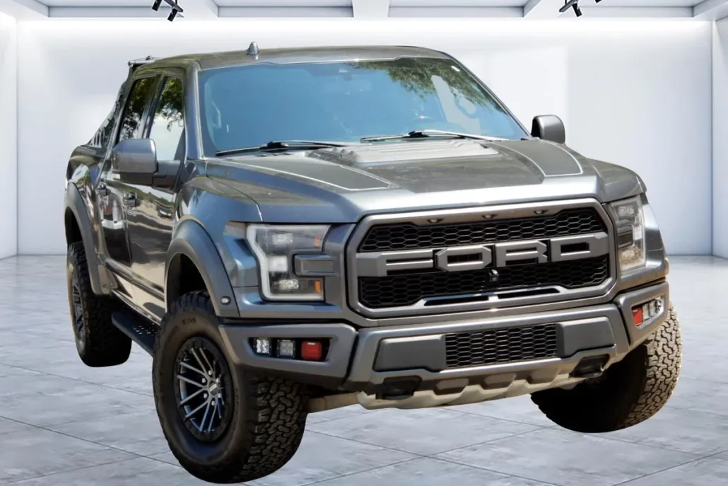 2019 Ford F-150 Raptor photo 1