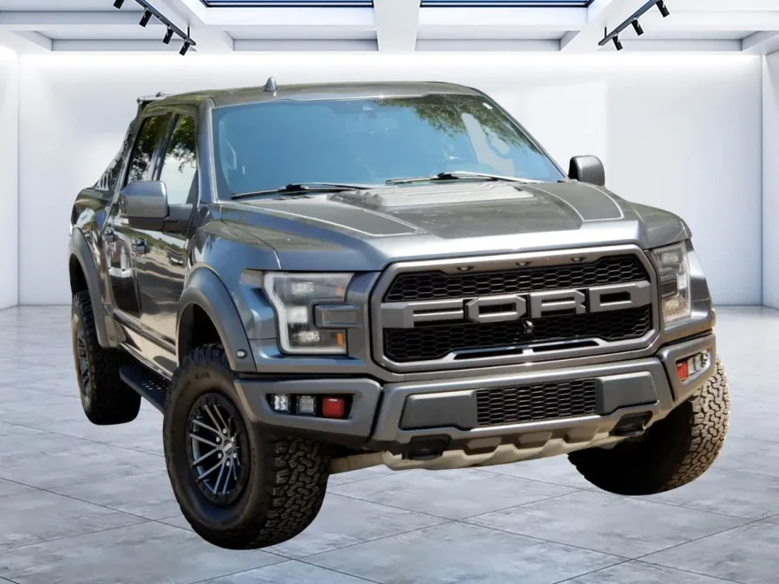 2019 Ford F-150 Raptor photo 1