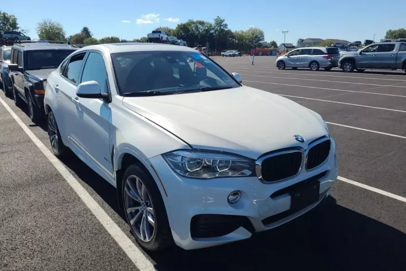 2018 Bmw X6 xDrive35i photo 1
