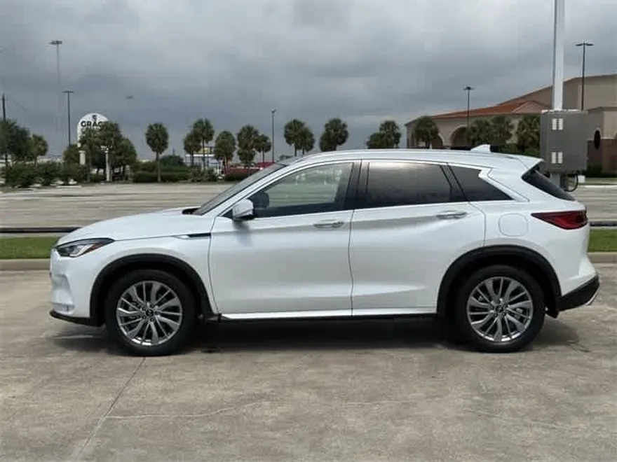 2024 Infiniti QX50 Luxe photo 1