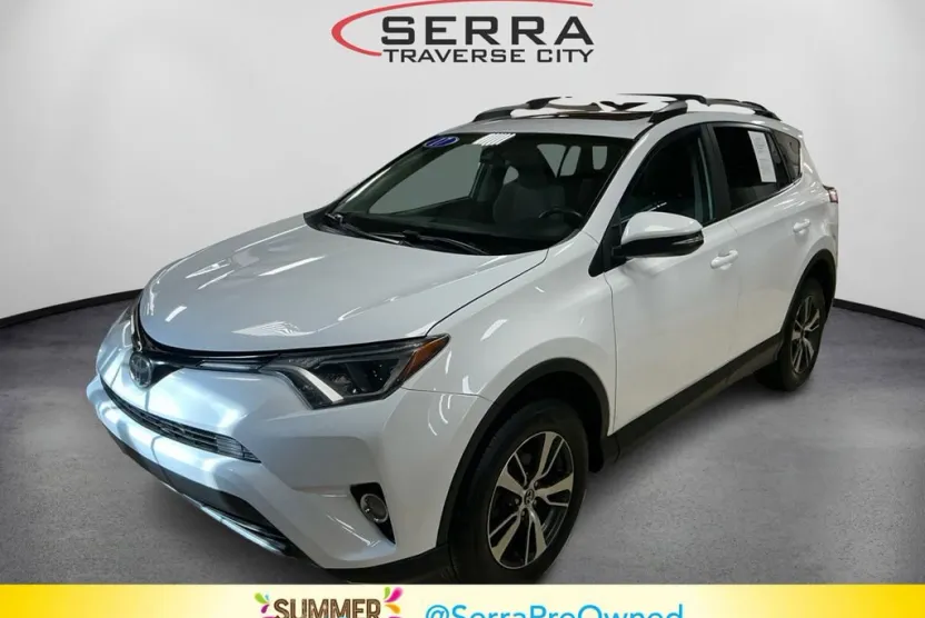 2017 Toyota RAV4 XLE photo 1