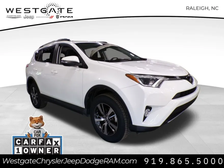 2018 Toyota RAV4 XLE photo 1