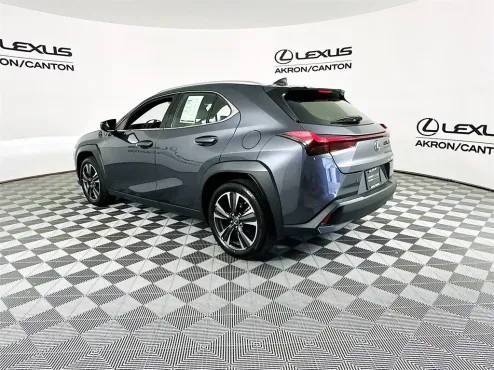 2024 Lexus UX 250h photo 4