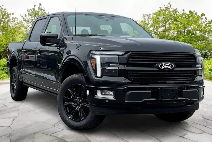 2025 Ford F-150 Platinum photo 1