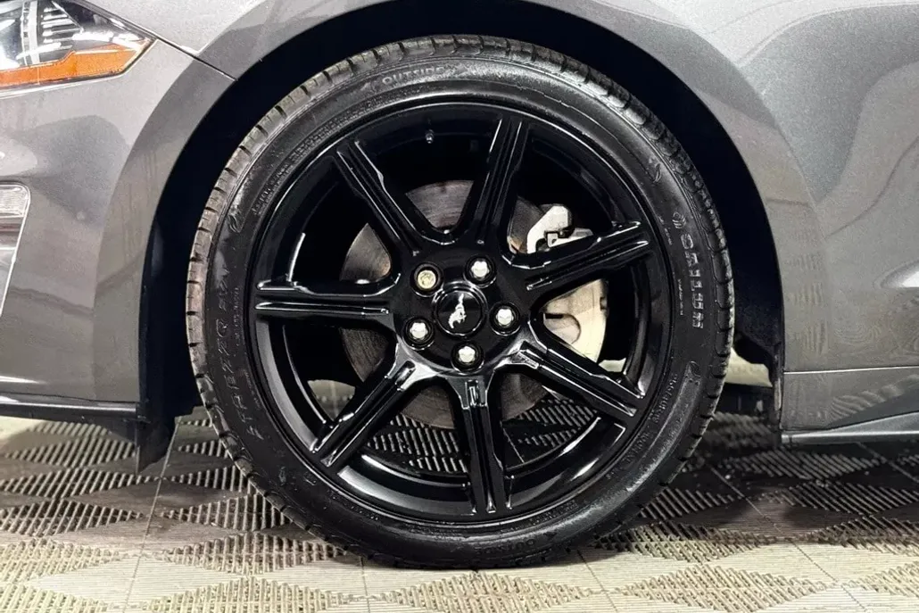 2018 Ford Mustang EcoBoost Premium photo 1