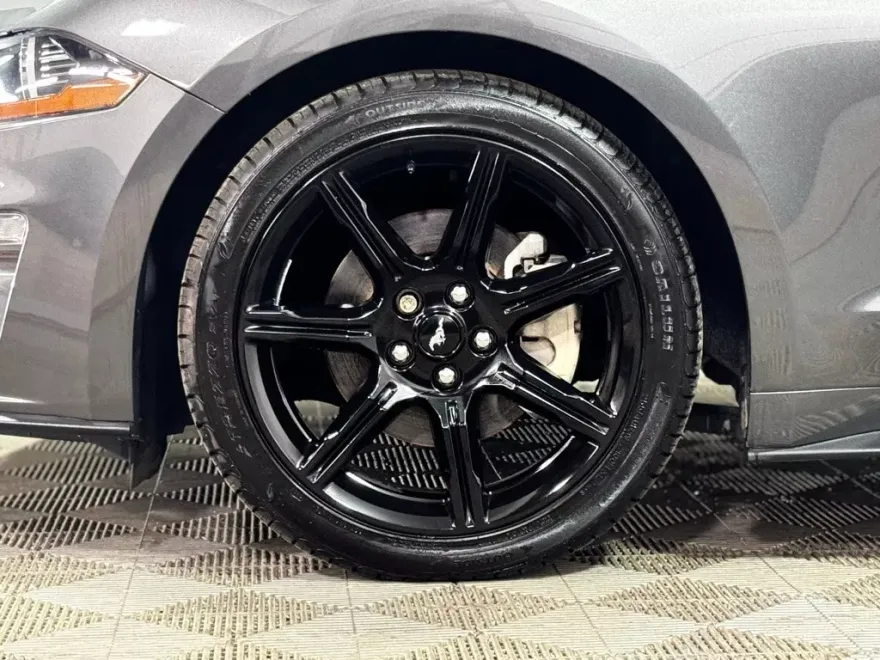2018 Ford Mustang EcoBoost Premium photo 1