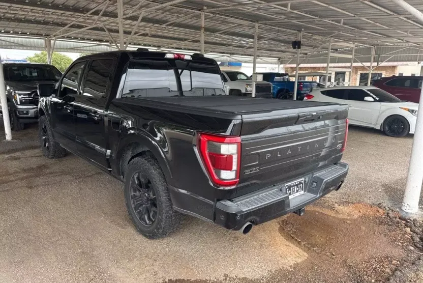2022 Ford F-150 Platinum photo 1