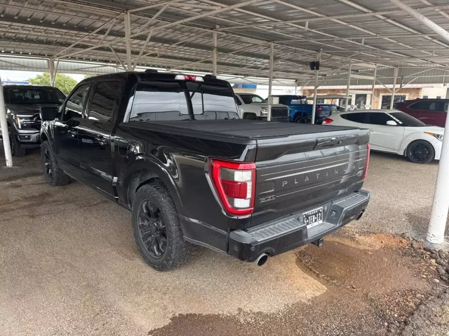 2022 Ford F-150 Platinum photo 1