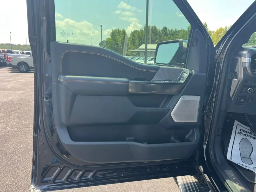 2021 Ford F-150 Platinum photo 18