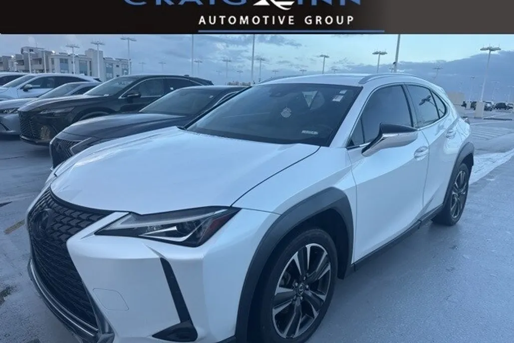 2019 Lexus UX 200 photo 1