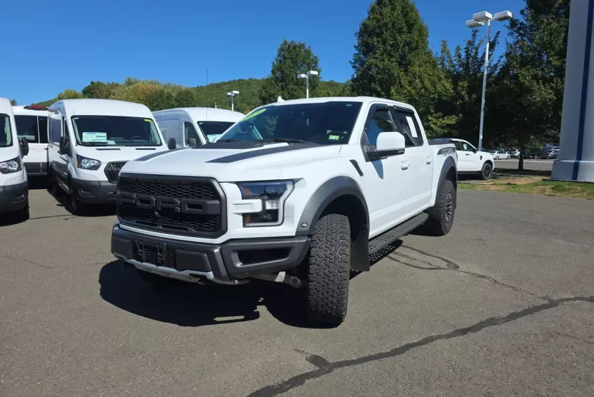 2020 Ford F-150 Raptor photo 1