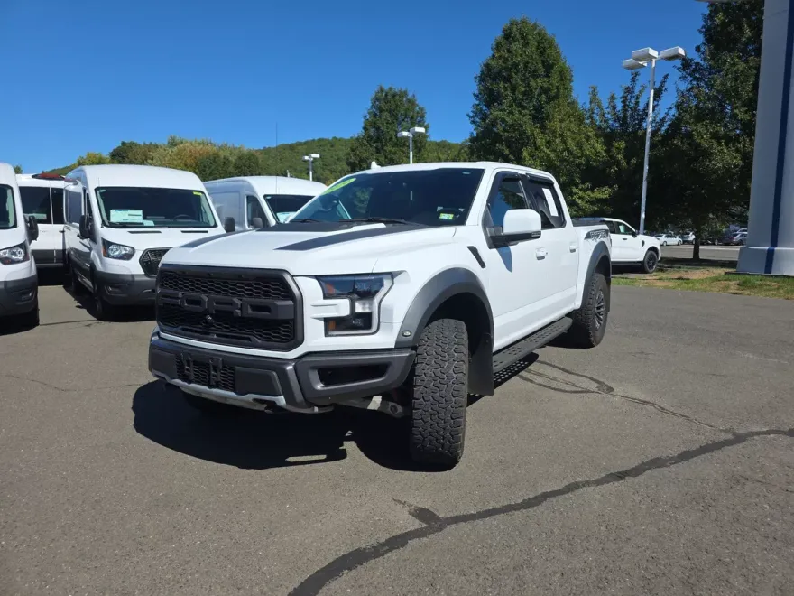 2020 Ford F-150 Raptor photo 1