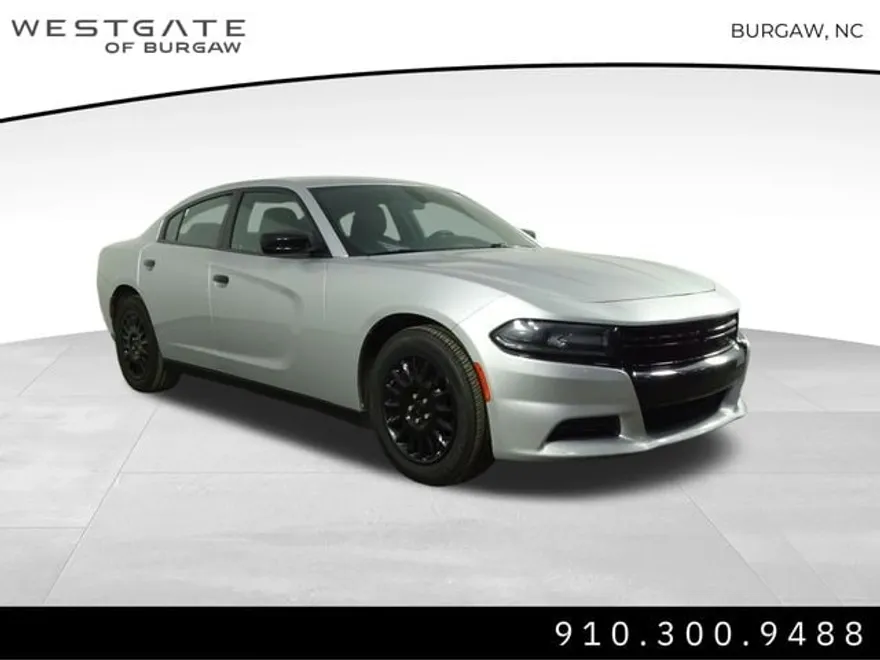 2019 Dodge Charger photo 1