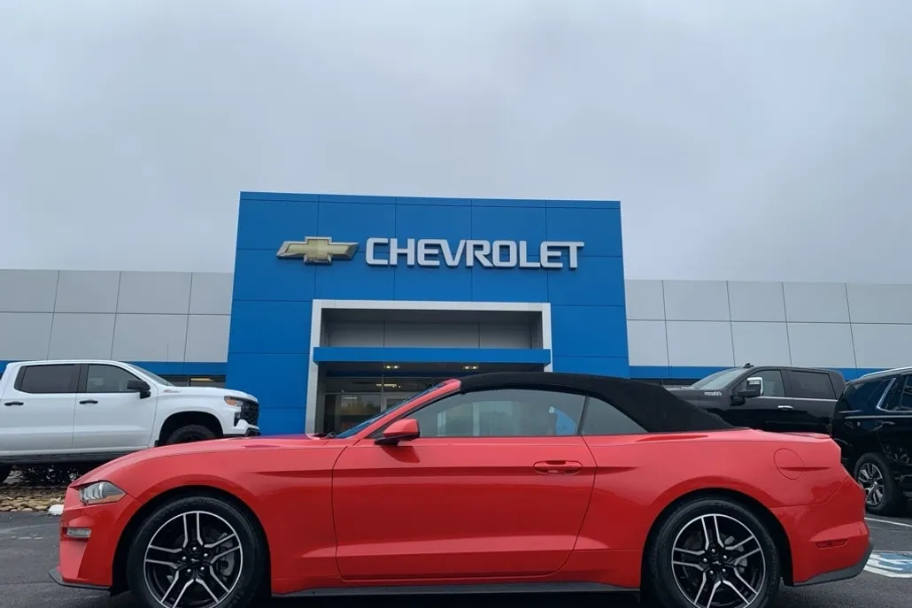 2022 Ford Mustang EcoBoost Premium photo 1