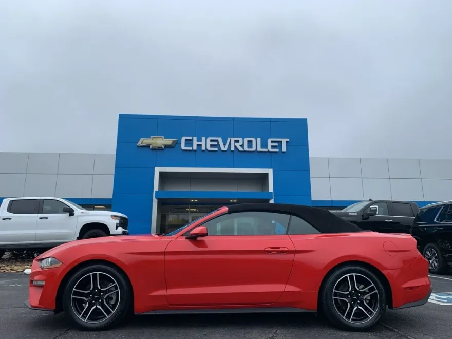 2022 Ford Mustang EcoBoost Premium photo 1