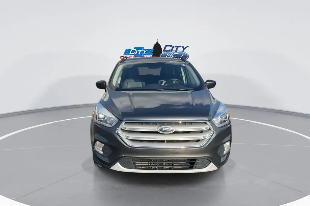 2019 Ford Escape SEL photo 1