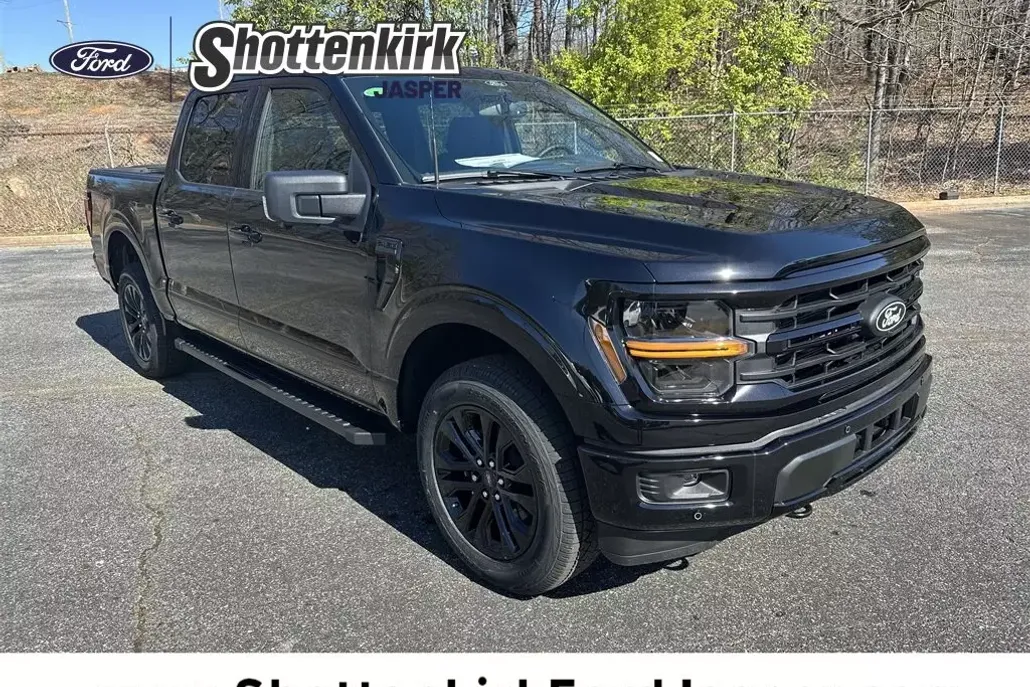 2025 Ford F-150 XLT photo 1