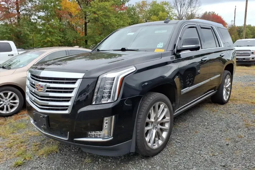 2020 Cadillac Escalade Platinum photo 1