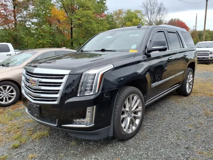 2020 Cadillac Escalade Platinum photo 1