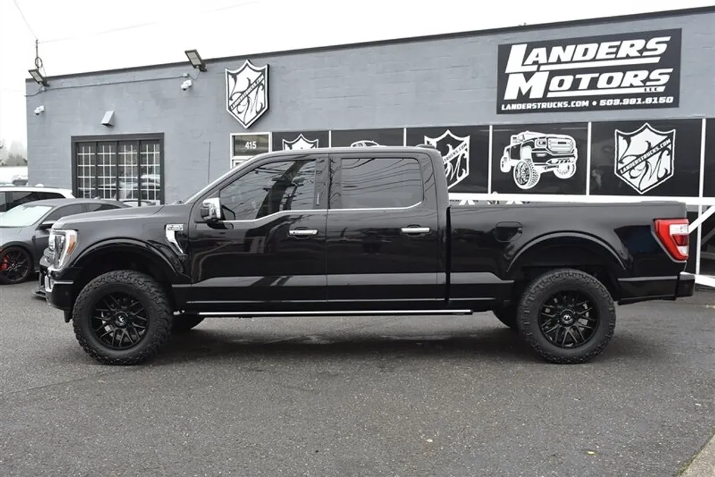 2021 Ford F-150 Platinum photo 1