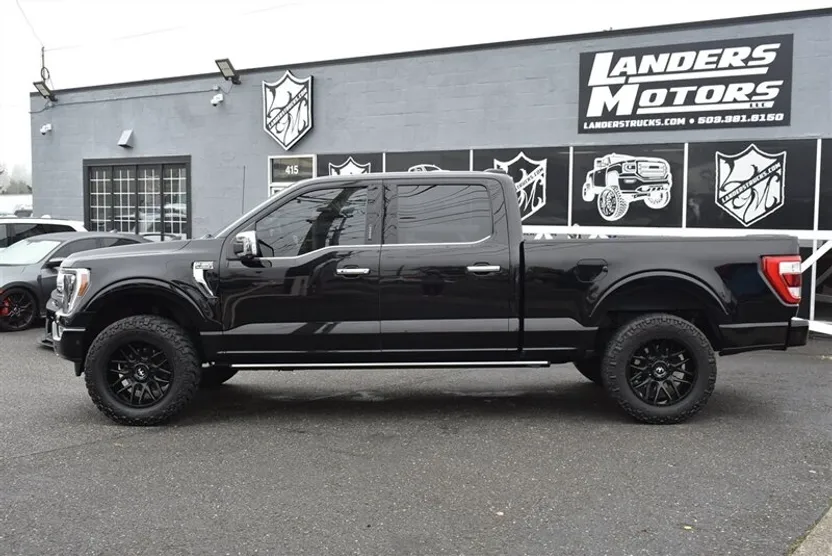 2021 Ford F-150 Platinum photo 1