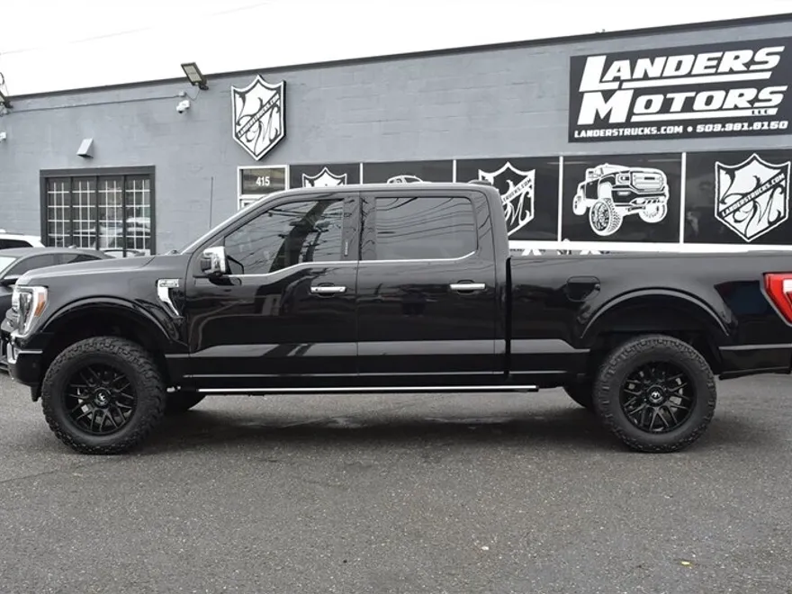 2021 Ford F-150 Platinum photo 1