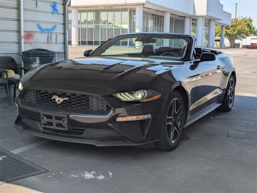 2023 Ford Mustang EcoBoost Premium photo 1