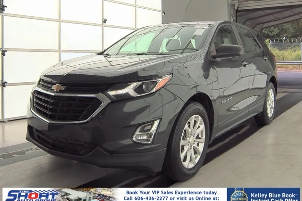 2020 Chevrolet Equinox LS photo 1