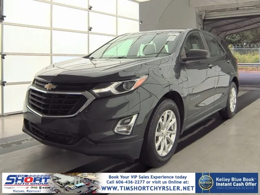 2020 Chevrolet Equinox LS photo 1