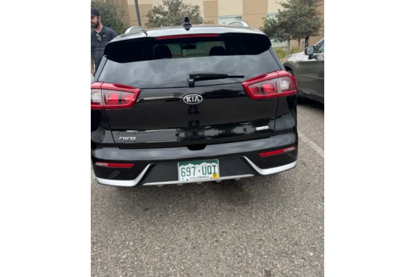 2017 Kia Niro LX photo 1