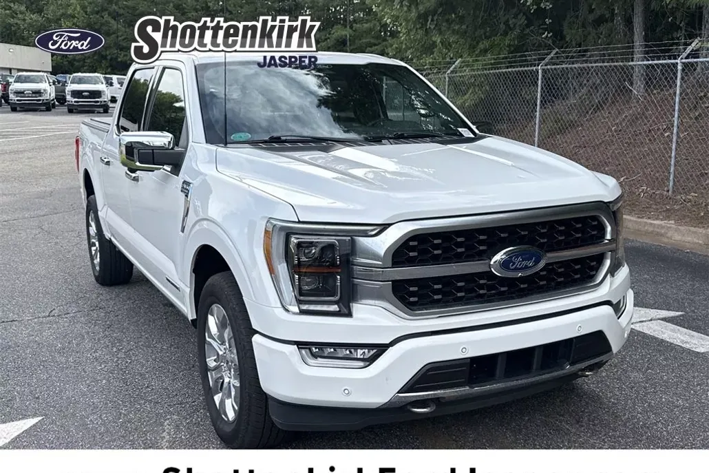 2022 Ford F-150 Platinum photo 1