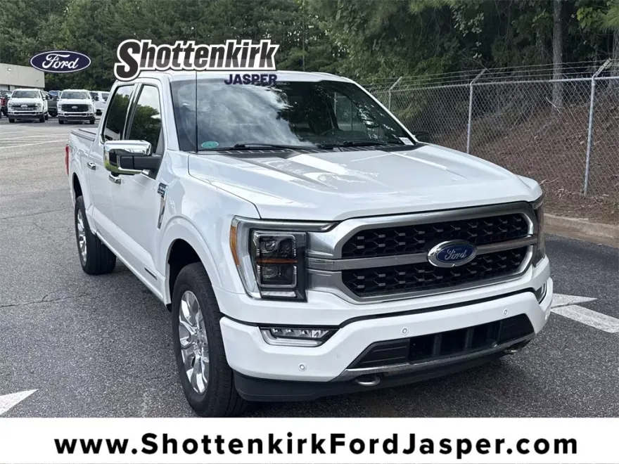 2022 Ford F-150 Platinum photo 1