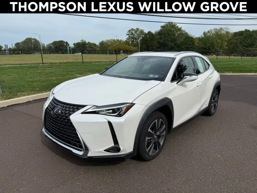 2021 Lexus UX 250h photo 1