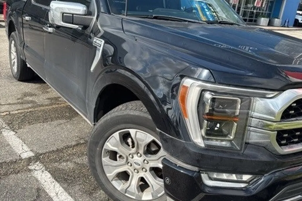 2022 Ford F-150 Platinum photo 1