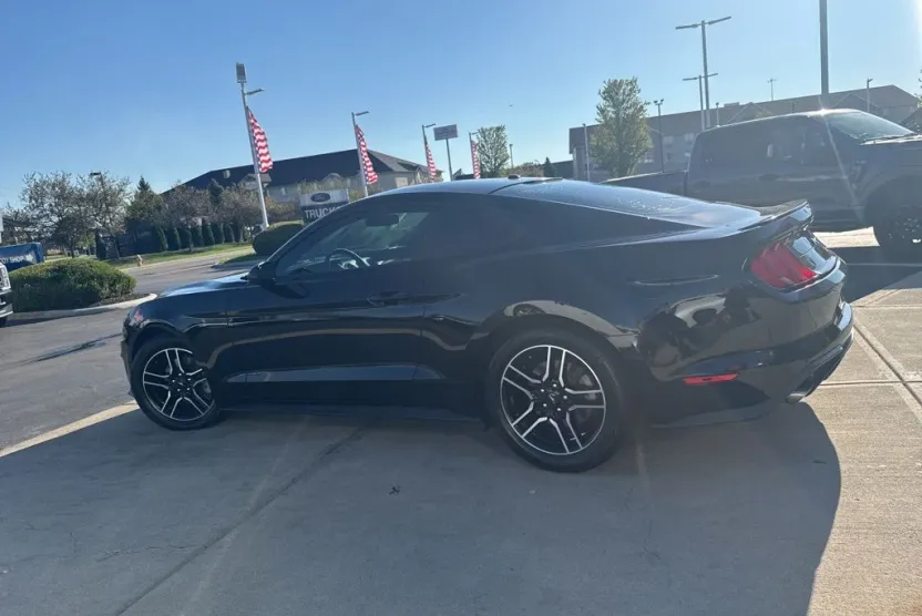 2019 Ford Mustang EcoBoost photo 1