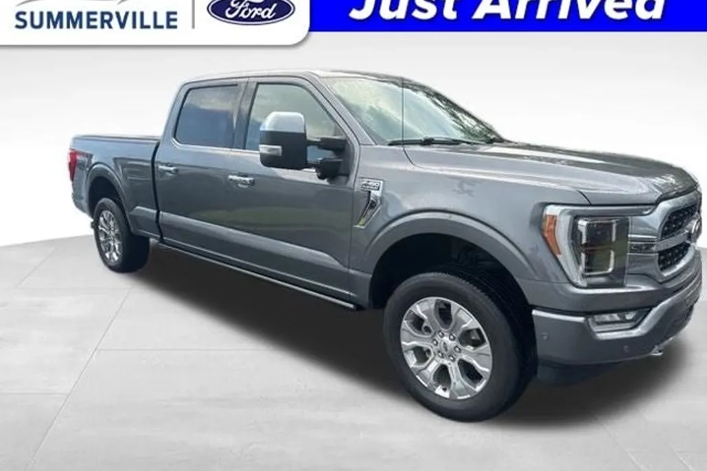 2021 Ford F-150 Platinum photo 1