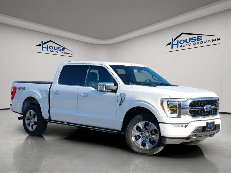 2021 Ford F-150 Platinum photo 1