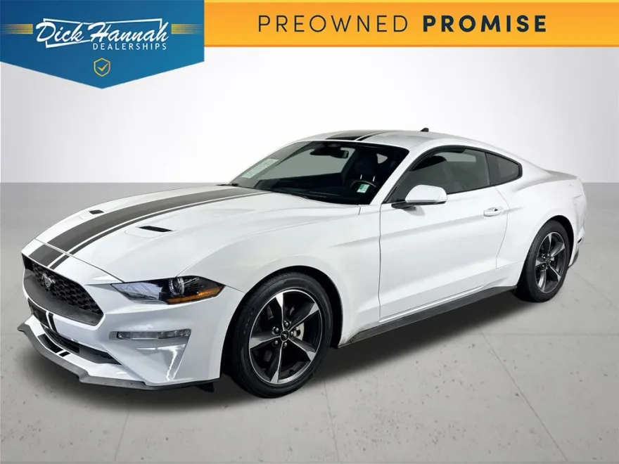2021 Ford Mustang EcoBoost photo 1