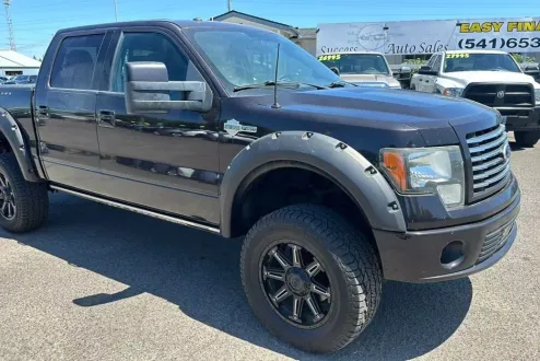 2010 Ford F-150 photo 2