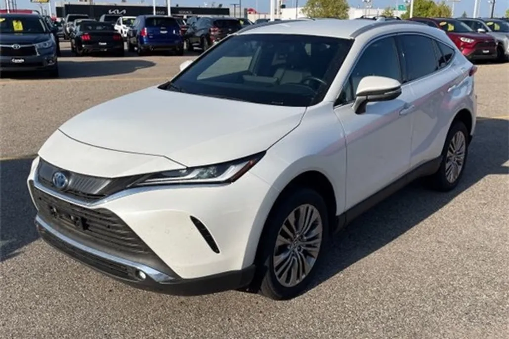 2023 Toyota Venza XLE photo 1