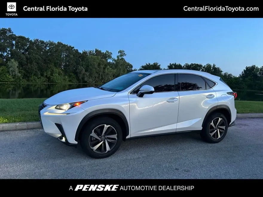 2019 Lexus NX 300 Luxury photo 1