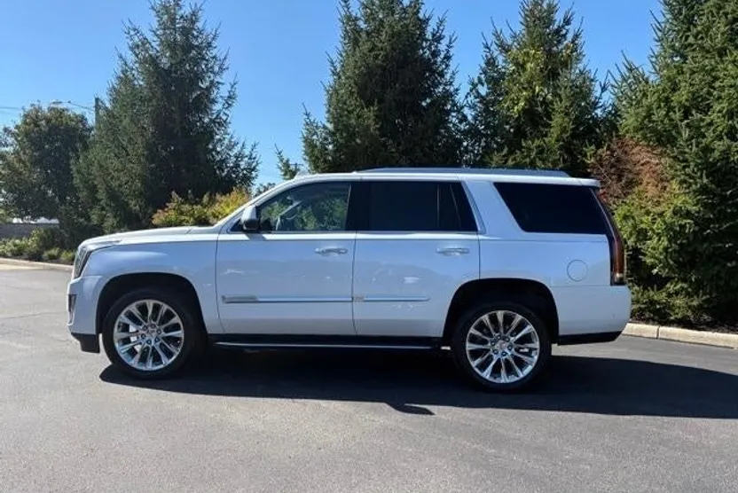 2019 Cadillac Escalade Luxury photo 1