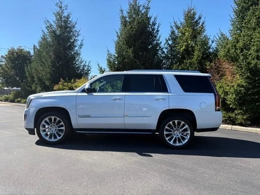 2019 Cadillac Escalade Luxury photo 1
