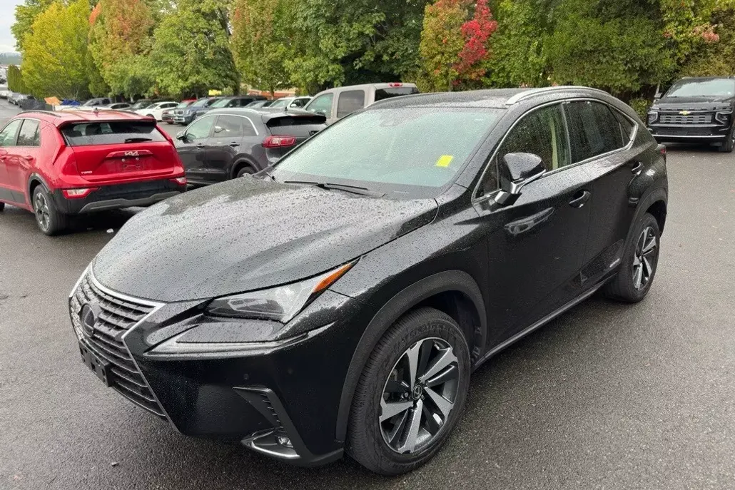 2021 Lexus NX 300h photo 1