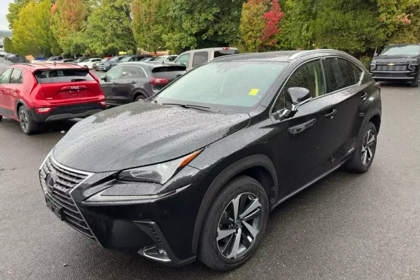 2021 Lexus NX 300h photo 1