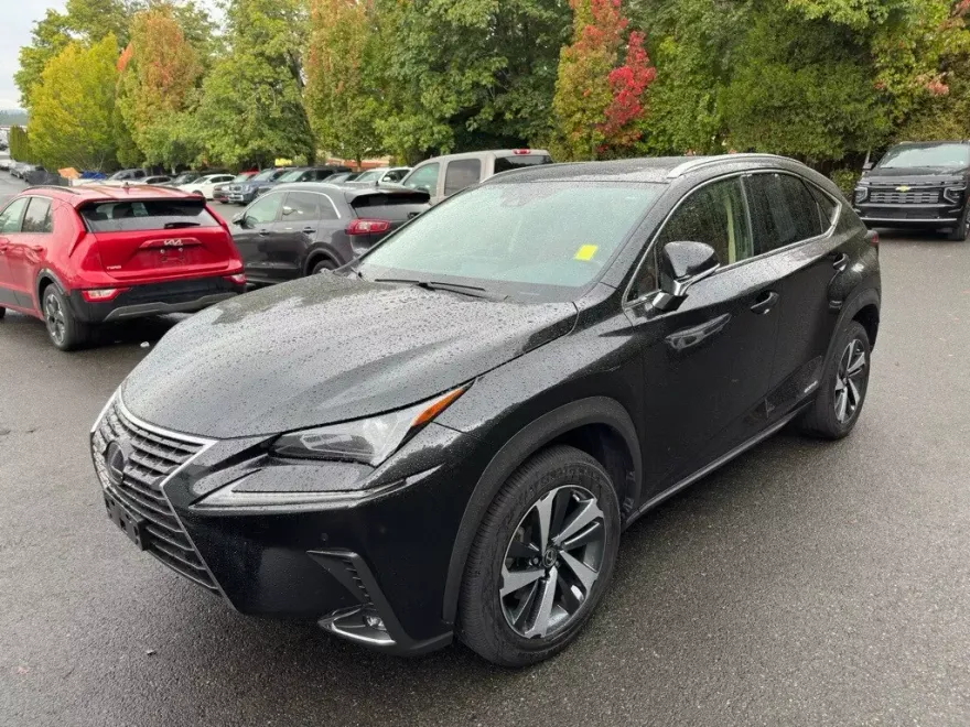 2021 Lexus NX 300h photo 1
