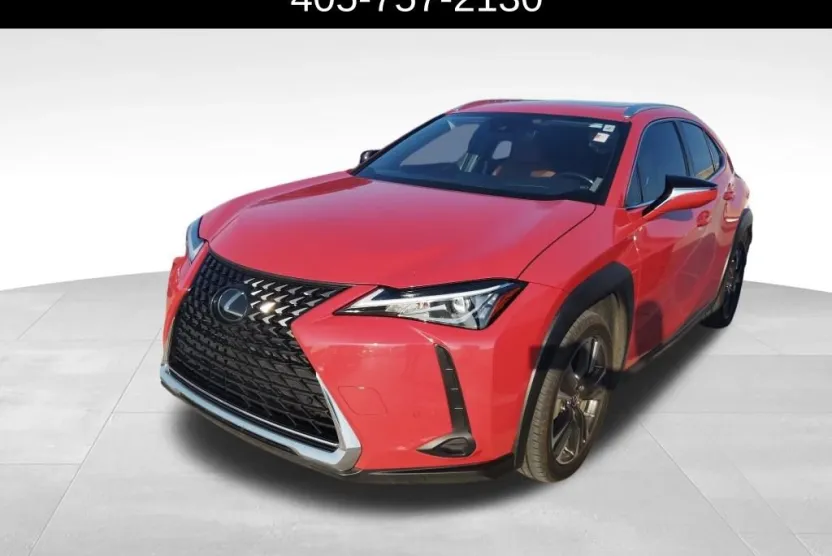 2019 Lexus UX 200 photo 1
