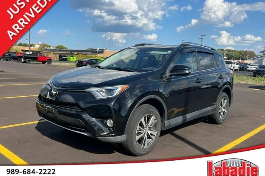 2018 Toyota RAV4 XLE photo 1