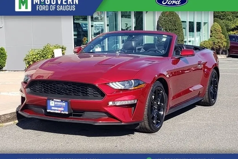 2019 Ford Mustang EcoBoost Premium Convertible photo 1