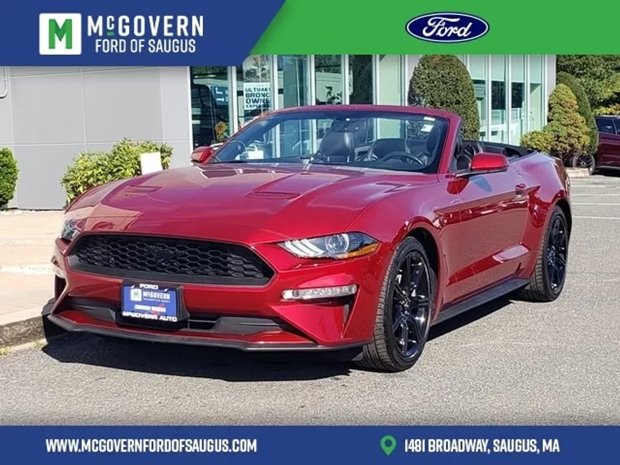 2019 Ford Mustang EcoBoost Premium Convertible photo 1